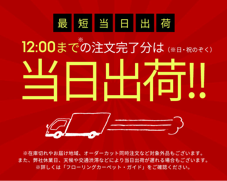 当日出荷OK