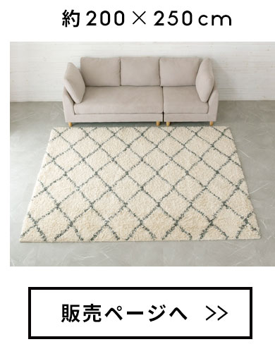 約200cm×250cm