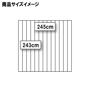 245×243