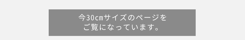 30cmのページをご覧になっています。