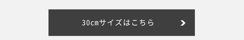 30cmサイズはこちら