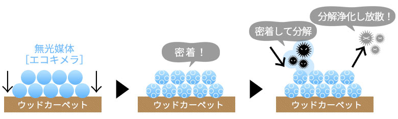 無光媒体 エコキメラ