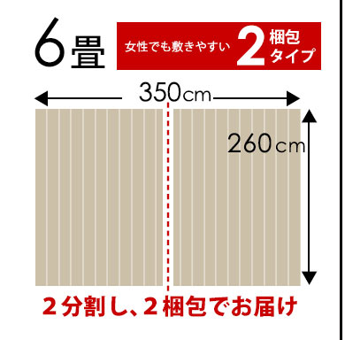 江戸間6畳2梱包350×260cm