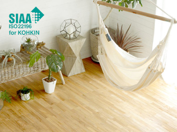 スンカイの無垢材使用 XS-30シリーズ