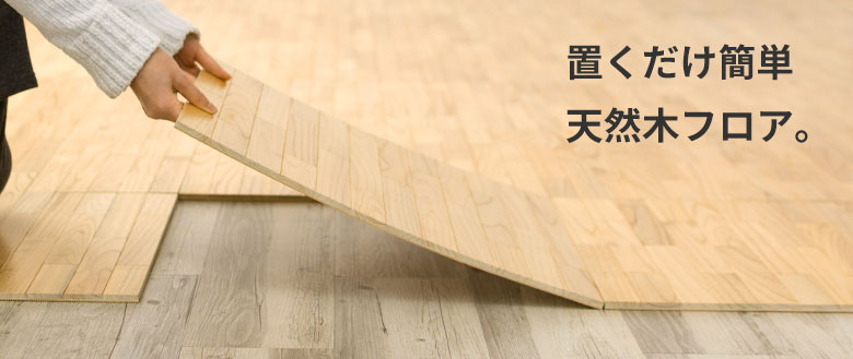 はめ込み式