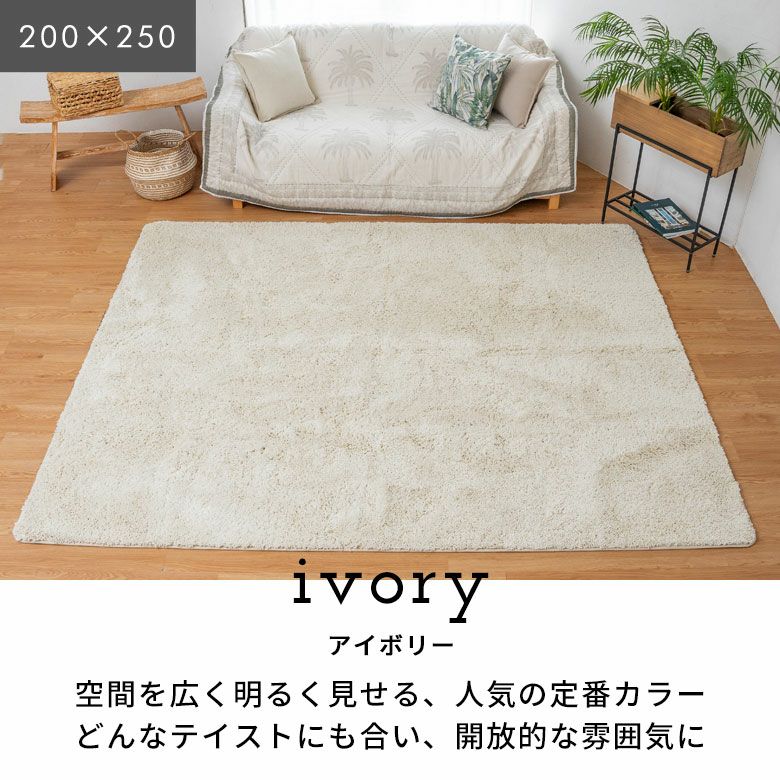 カーペット200-250 MODERN DECO（モダンデコ） ラグ 3畳 シャギーラグ 洗える 200×250 夏