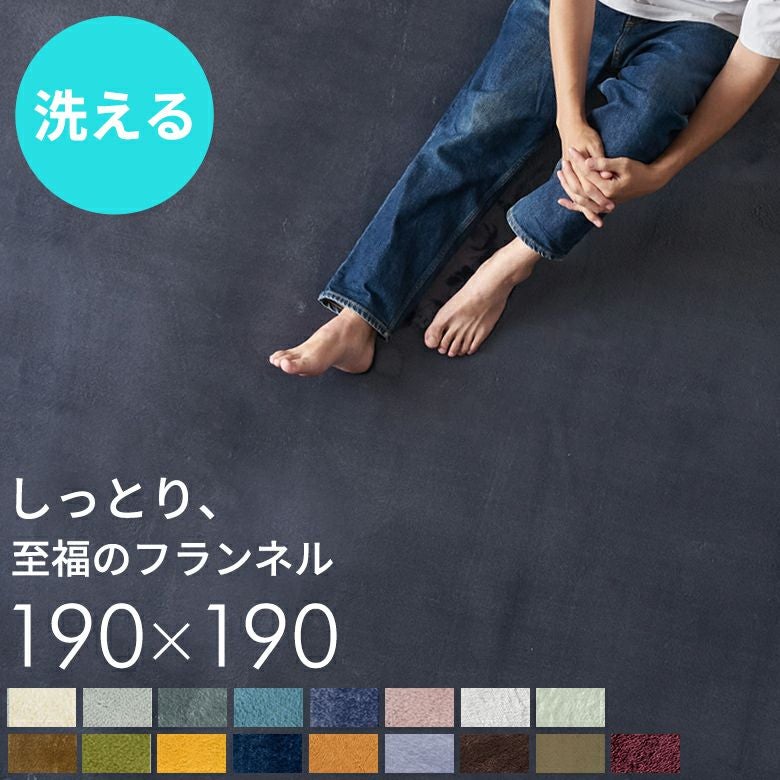 MORITA ホットカーペットカーペッ 2畳 フランネル カバー付 ブルー 4959129-pop1.jpg