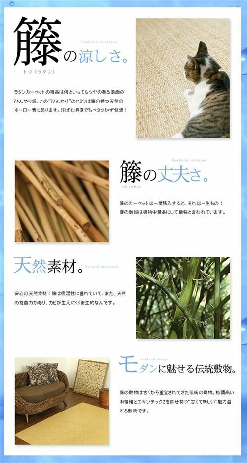 籐あじろ 座布団サイズ 約55x55cm ラタン 清涼 涼感 冷感 ひんやり