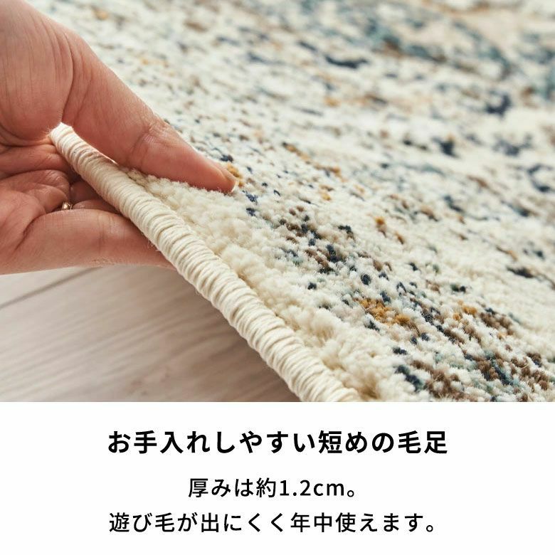 ラグ ペルシャ風 ラグマット 200×250cm オリエンタル柄 ウィルトン織り