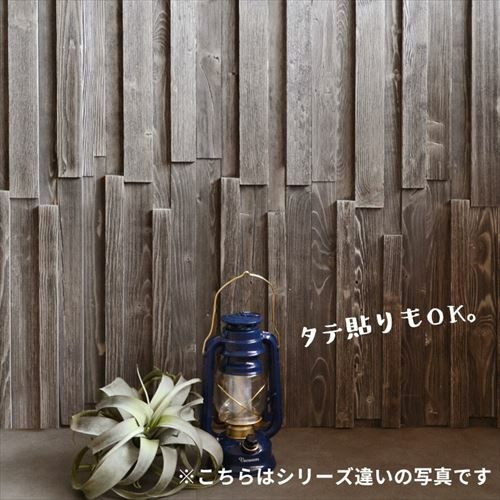 000000000355-16.jpg?size=l&w=