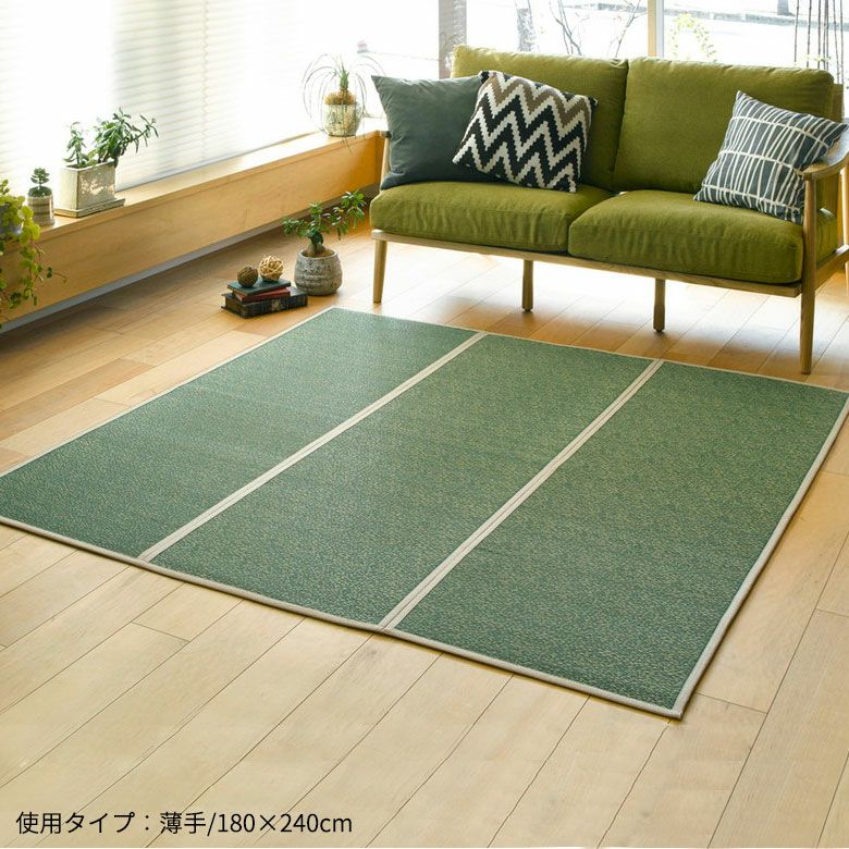 夏の足元をさらりと爽やかにする薄手のい草ラグ 約180×240cm 抗カビ