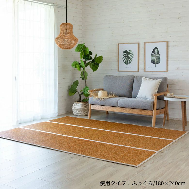 夏の足元をさらりと爽やかにする薄手のい草ラグ 約180×240cm 抗カビ