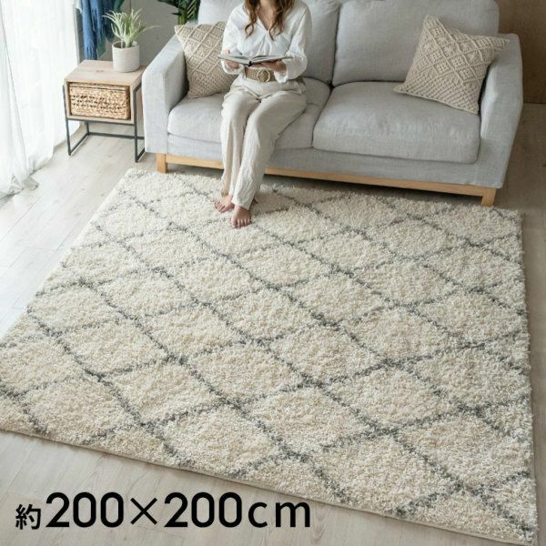 【大幅値下げ】FLYMEe モダンカーペット(ラグ) FLYMEe Noir RUG / フライミーノワール ラグ #102296 - インテリア