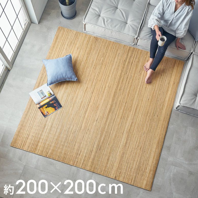 籐むしろ PR800シリーズ ラグサイズ約200x250cm ラタンカーペット